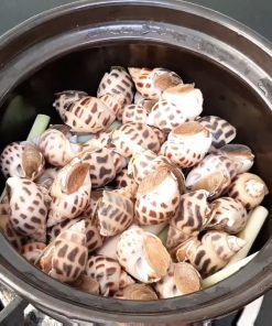 ỐC HƯƠNG Hấp xả